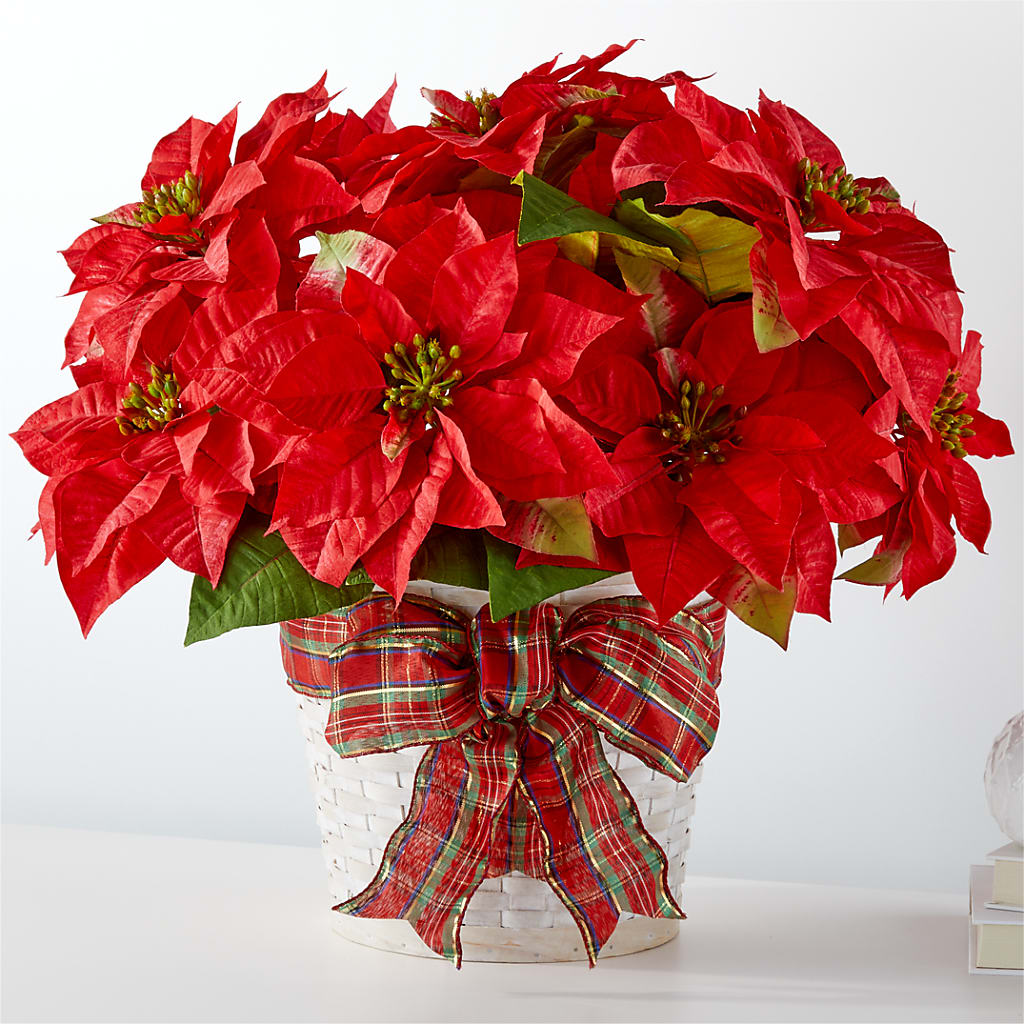 Happiest Holidays Poinsettia – Greenbrook Flowers Inc, Jackson MS
