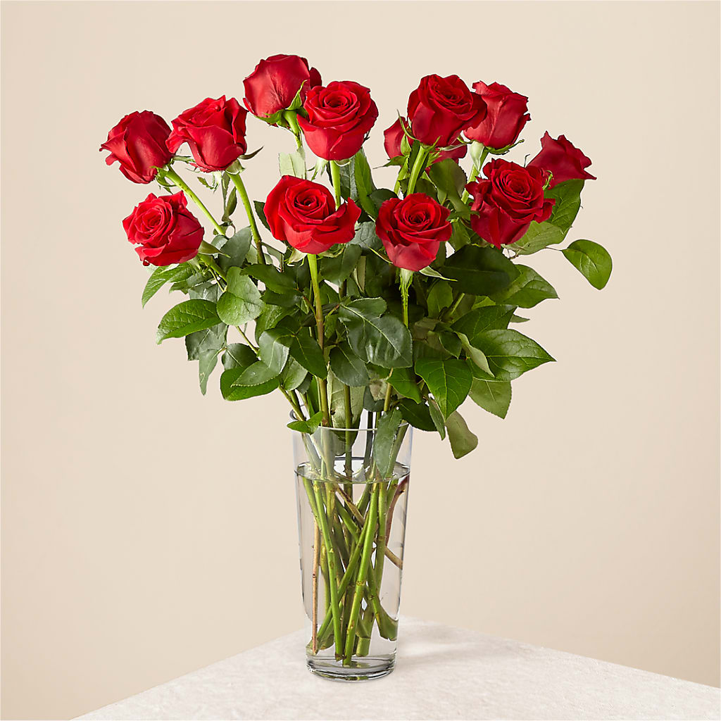 Long Stem Red Rose Bouquet – Greenbrook Flowers Inc, Jackson MS