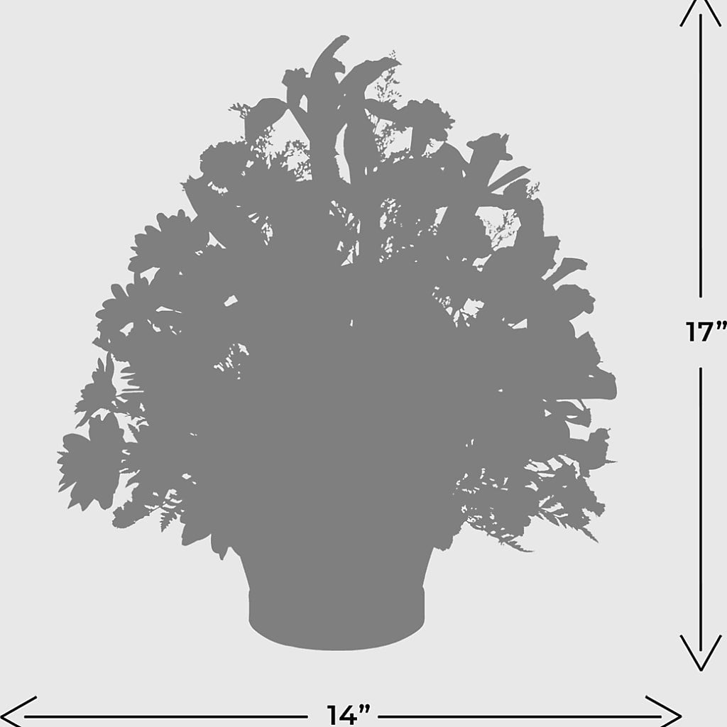 The Wondrous Nature Bouquet – Greenbrook Flowers Inc, Jackson MS
