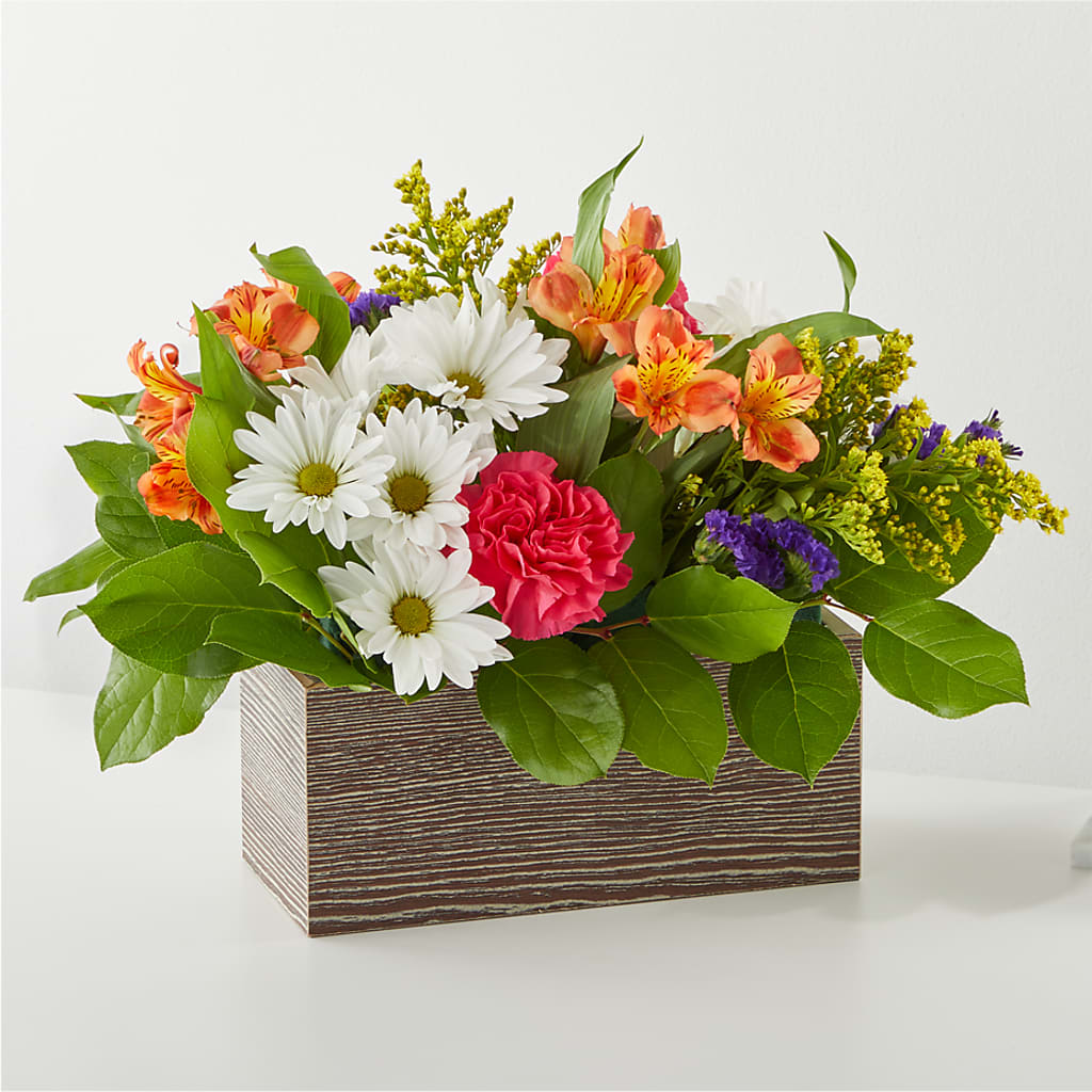 Oopsie Daisy Box Bouquet – Greenbrook Flowers Inc, Jackson MS