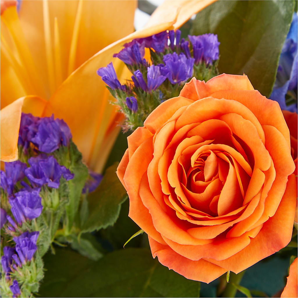 Radiant Citrus Box Bouquet – Greenbrook Flowers Inc, Jackson MS