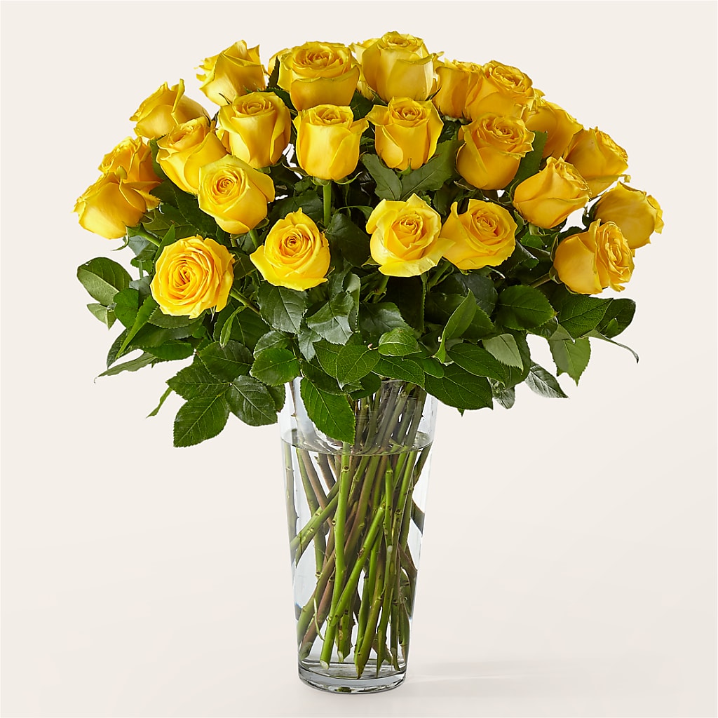 Long Stem Yellow Rose Bouquet – Greenbrook Flowers Inc, Jackson MS