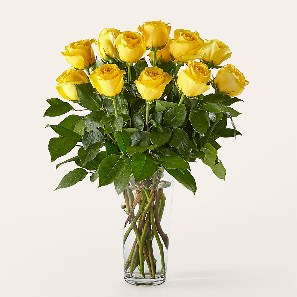 Long Stem Yellow Rose Bouquet – Greenbrook Flowers Inc, Jackson MS