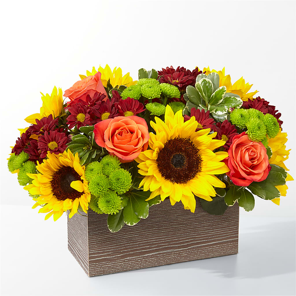 Happy Harvest Garden – Greenbrook Flowers Inc, Jackson MS