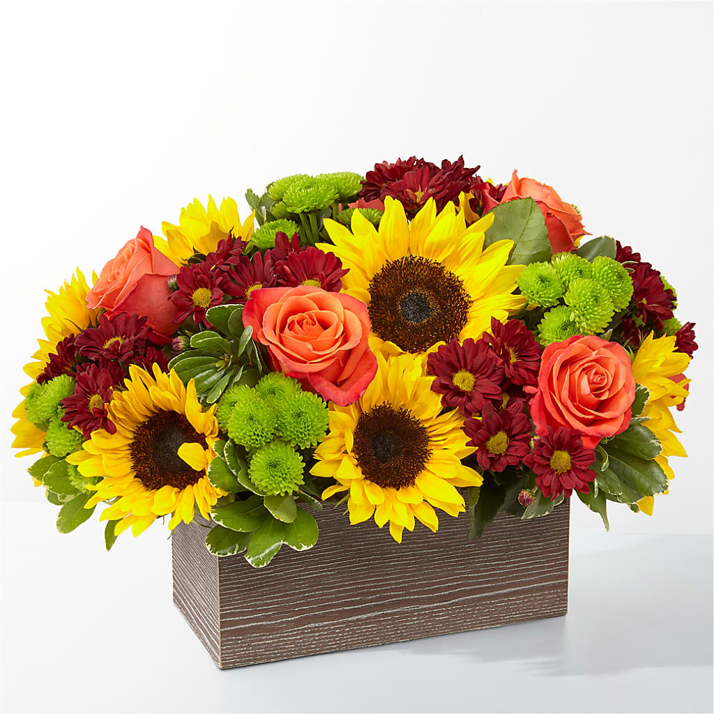 Happy Harvest Garden – Greenbrook Flowers Inc, Jackson MS