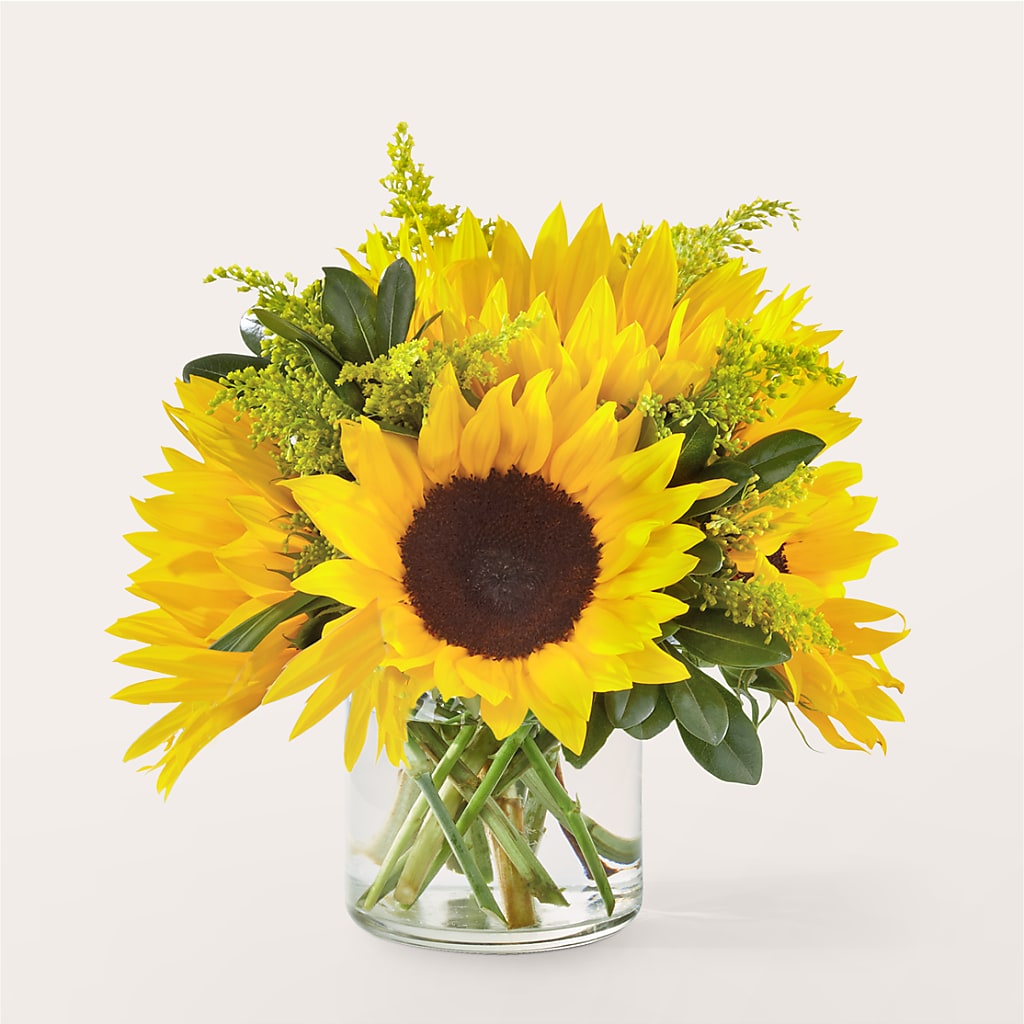Beaming Sunflower Bouquet – Greenbrook Flowers Inc, Jackson MS