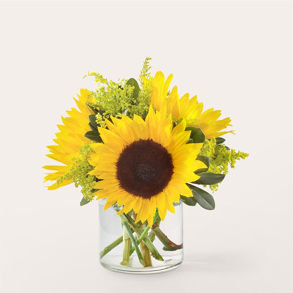 Beaming Sunflower Bouquet – Greenbrook Flowers Inc, Jackson MS