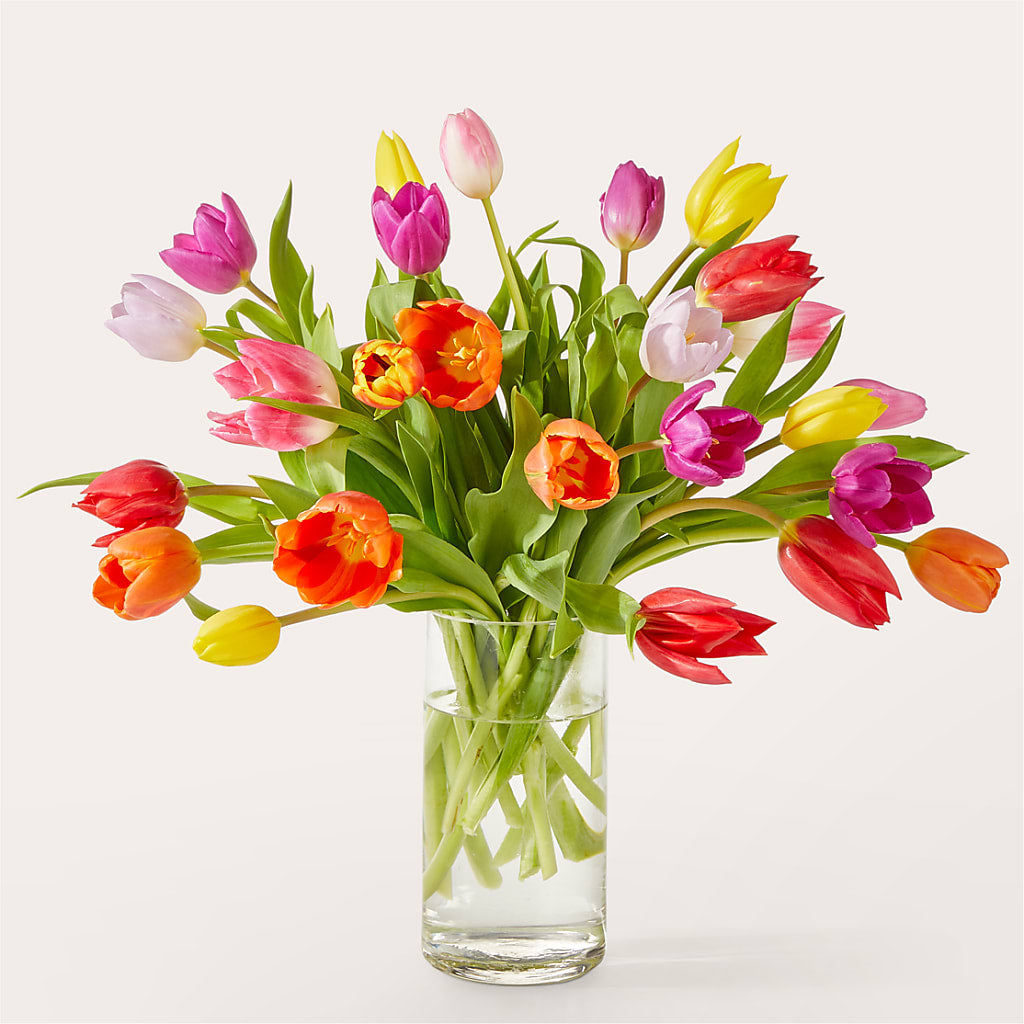 Let's Talk Tulips Bouquet – Greenbrook Flowers Inc, Jackson MS