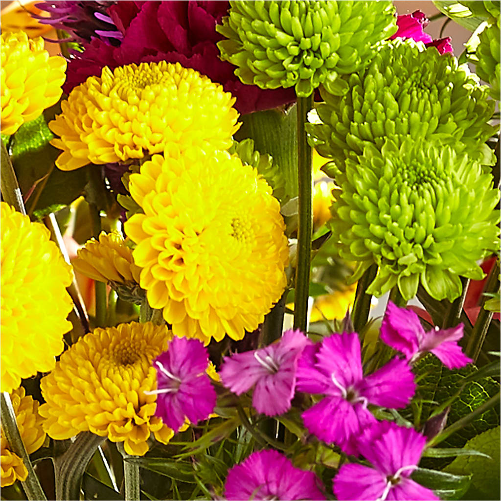 Bold & Bright – A Florist Original –  Greenbrook Flowers Inc, Jackson MS