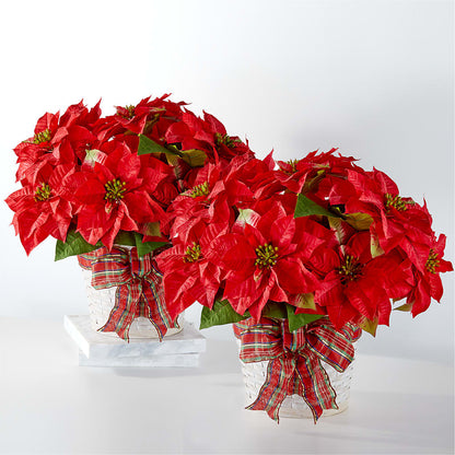 Happiest Holidays Poinsettia Bundle –  Greenbrook Flowers Inc, Jackson MS
