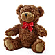 Adorable Plush Bear –  Greenbrook Flowers Inc, Jackson MS