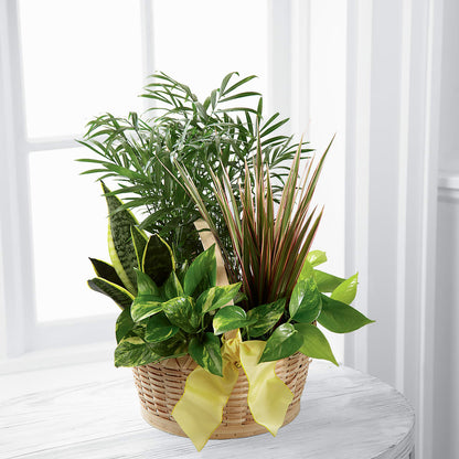 French Garden –  Greenbrook Flowers Inc, Jackson MS