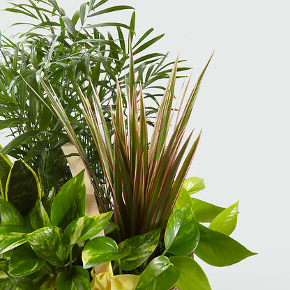 French Garden –  Greenbrook Flowers Inc, Jackson MS