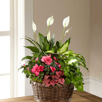 Dream in Pink Dishgarden –  Greenbrook Flowers Inc, Jackson MS