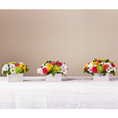 Sorbet Bouquet –  Greenbrook Flowers Inc, Jackson MS