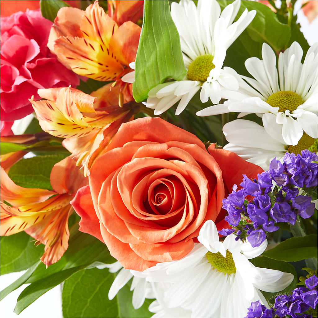 Oopsie Daisy Box Bouquet –  Greenbrook Flowers Inc, Jackson MS