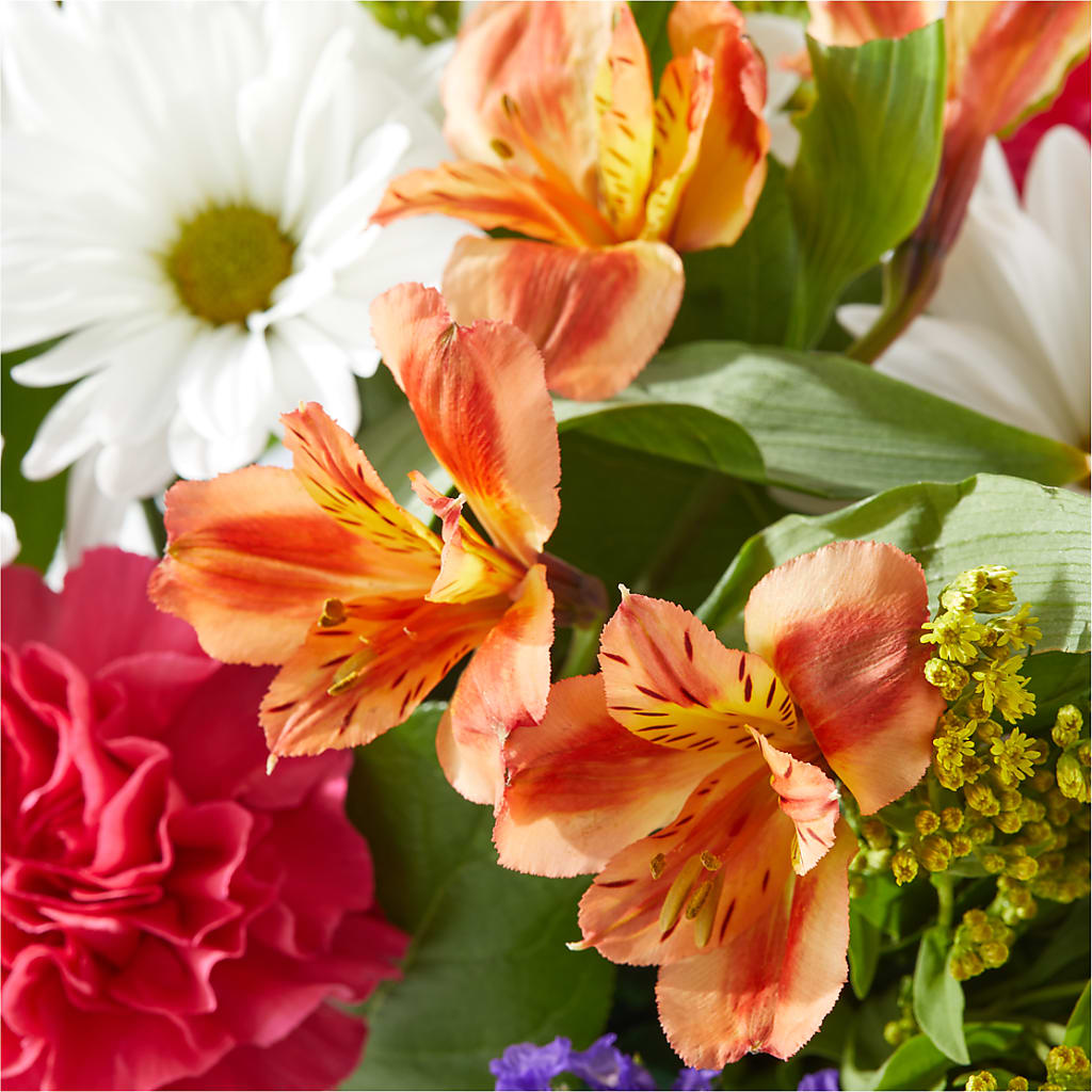 Oopsie Daisy Box Bouquet –  Greenbrook Flowers Inc, Jackson MS