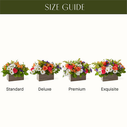 Oopsie Daisy Box Bouquet –  Greenbrook Flowers Inc, Jackson MS