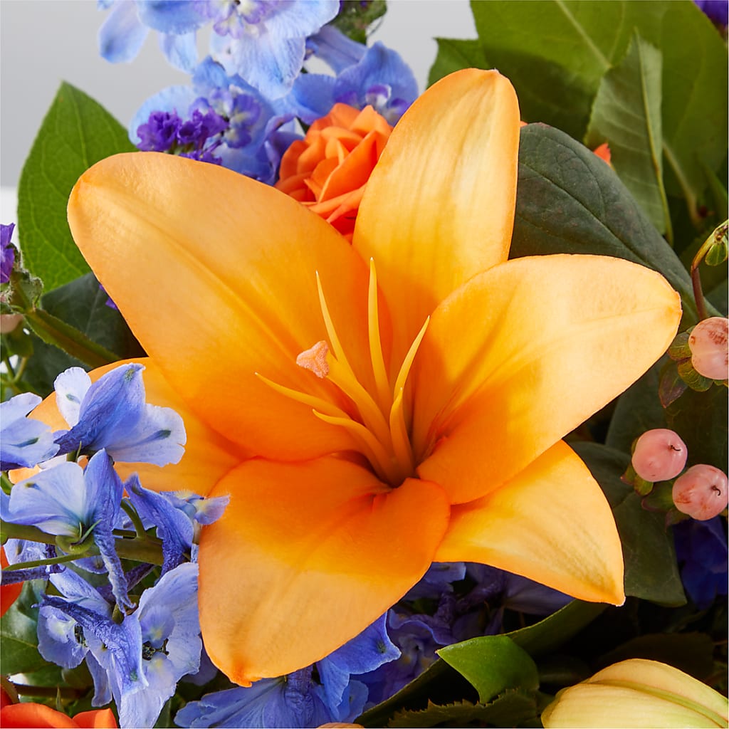 Radiant Citrus Box Bouquet –  Greenbrook Flowers Inc, Jackson MS