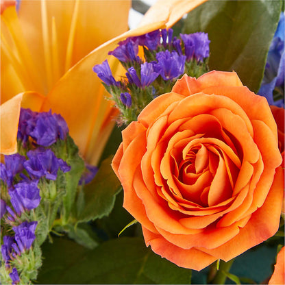 Radiant Citrus Box Bouquet –  Greenbrook Flowers Inc, Jackson MS