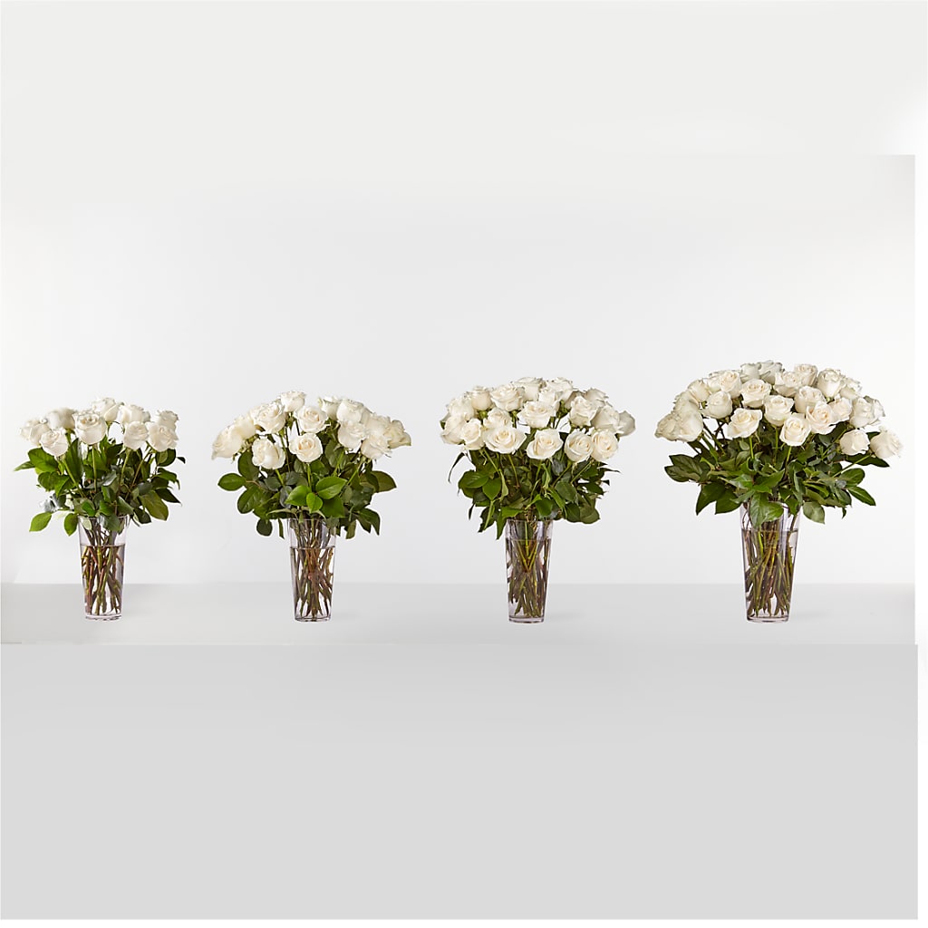Long Stem White Rose Bouquet –  Greenbrook Flowers Inc, Jackson MS