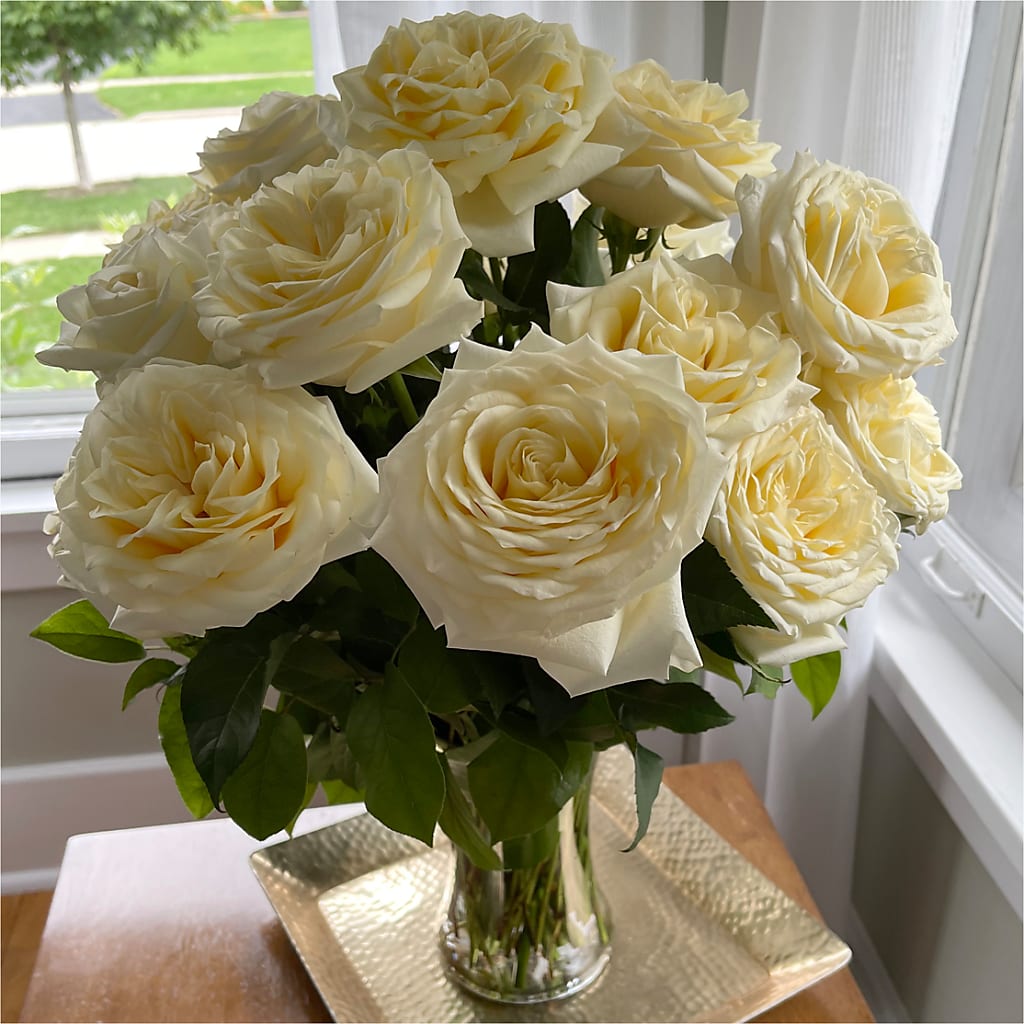 Long Stem Yellow Rose Bouquet –  Greenbrook Flowers Inc, Jackson MS