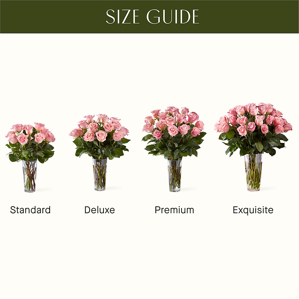 Long Stem Pink Rose Bouquet –  Greenbrook Flowers Inc, Jackson MS
