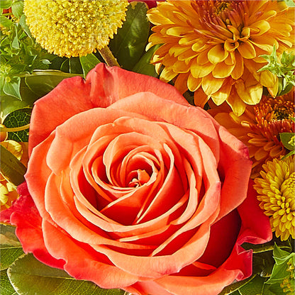 Gourdgeous Pumpkin –  Greenbrook Flowers Inc, Jackson MS
