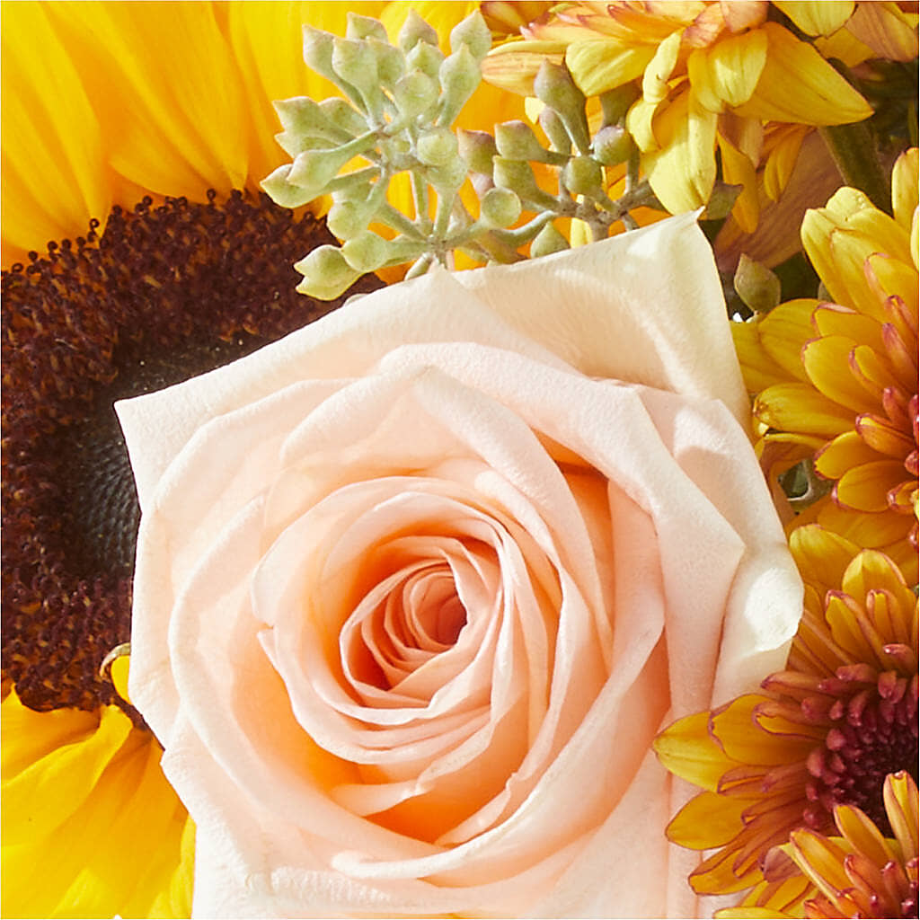 Pumpkin to Talk About Bouquet –  Greenbrook Flowers Inc, Jackson MS