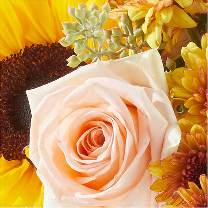 Pumpkin to Talk About Bouquet –  Greenbrook Flowers Inc, Jackson MS