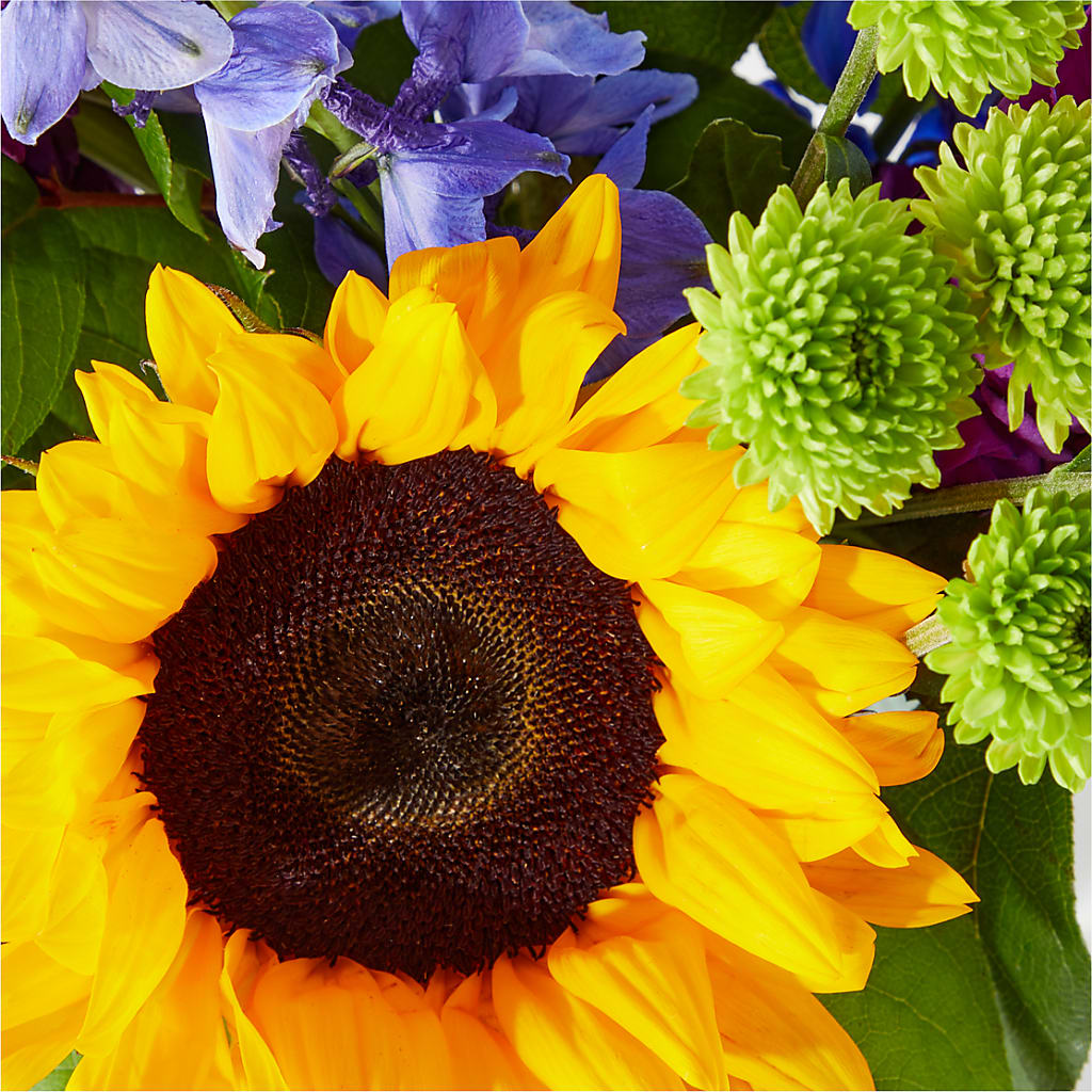Catching Rays Bouquet –  Greenbrook Flowers Inc, Jackson MS