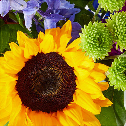 Catching Rays Bouquet –  Greenbrook Flowers Inc, Jackson MS