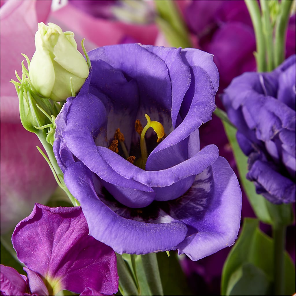 Twilight Glow Bouquet –  Greenbrook Flowers Inc, Jackson MS