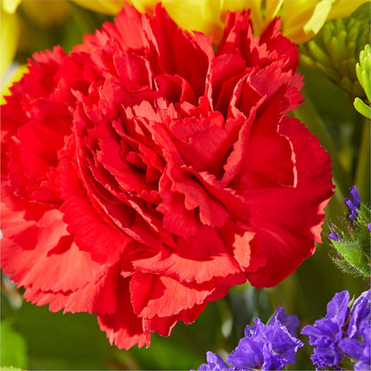 Brighter Days Bouquet –  Greenbrook Flowers Inc, Jackson MS