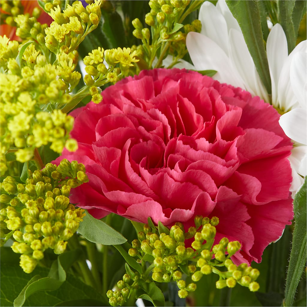 Oopsie Daisy Bouquet –  Greenbrook Flowers Inc, Jackson MS