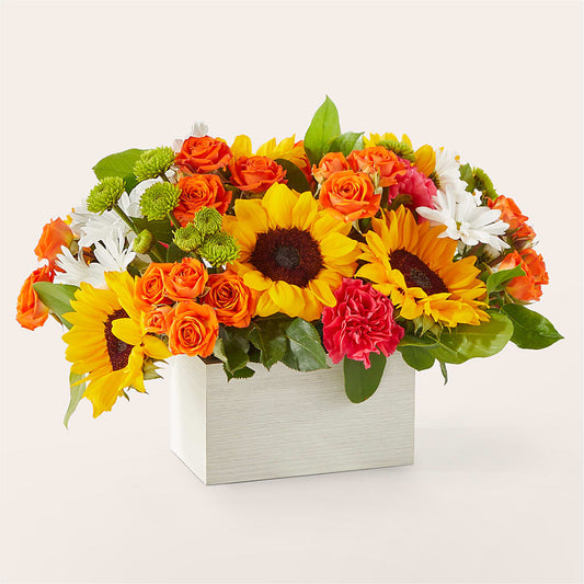 Sun-drenched Blooms Box Bouquet –  Greenbrook Flowers Inc, Jackson MS