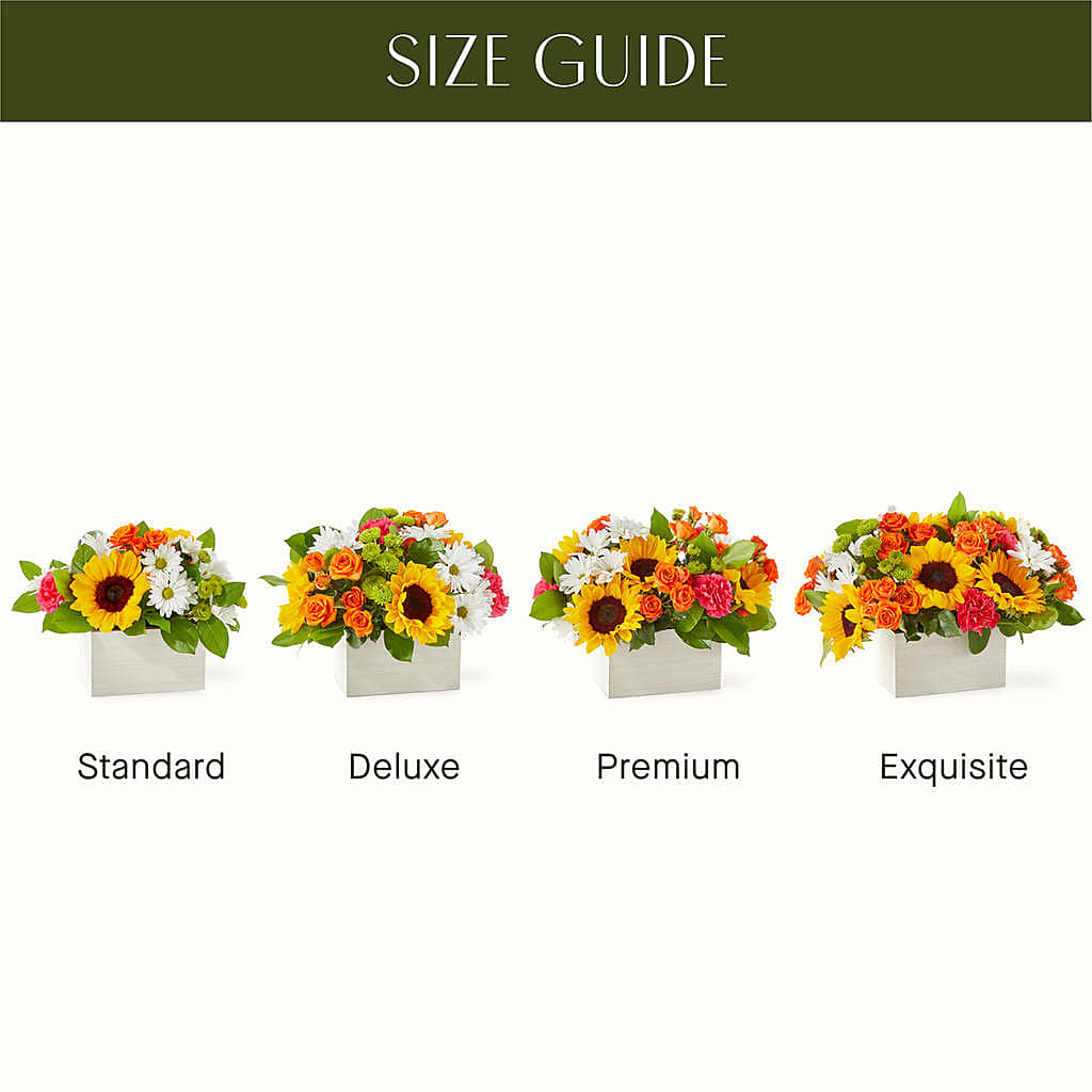 Sun-drenched Blooms Box Bouquet –  Greenbrook Flowers Inc, Jackson MS