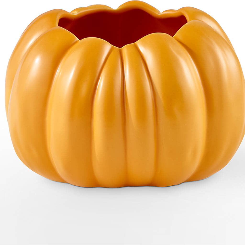 Golden Gourd Pumpkin Bouquet –  Greenbrook Flowers Inc, Jackson MS