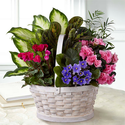 Peaceful Garden Planter –  Greenbrook Flowers Inc, Jackson MS