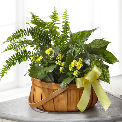 Always Dear Dishgarden –  Greenbrook Flowers Inc, Jackson MS