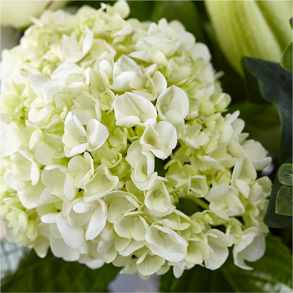 Classic Ivory – A Florist Original –  Greenbrook Flowers Inc, Jackson MS