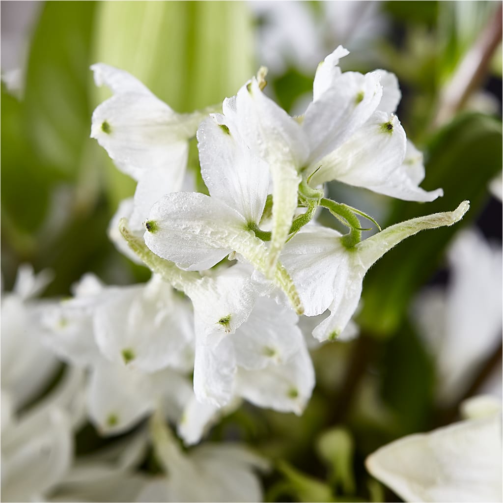 Classic Ivory – A Florist Original –  Greenbrook Flowers Inc, Jackson MS