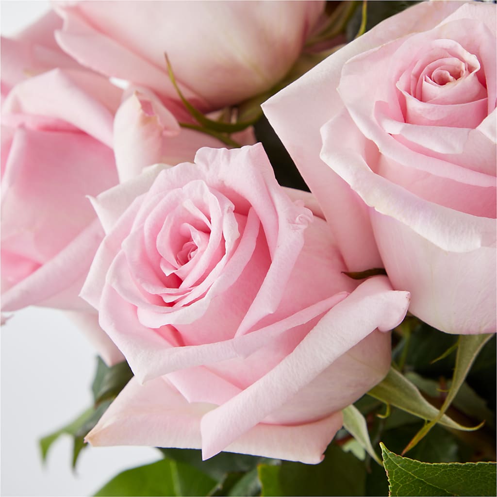 Picture Perfect Pink Rose Bouquet –  Greenbrook Flowers Inc, Jackson MS