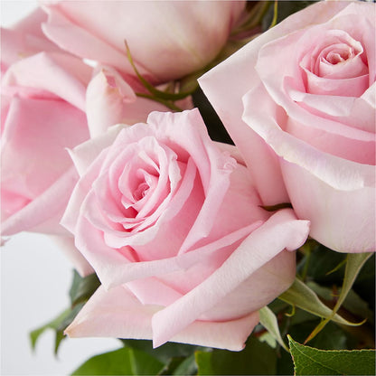 Picture Perfect Pink Rose Bouquet –  Greenbrook Flowers Inc, Jackson MS