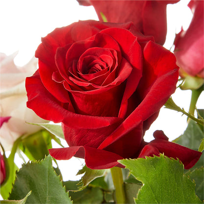 Love Notes Rose Bouquet –  Greenbrook Flowers Inc, Jackson MS