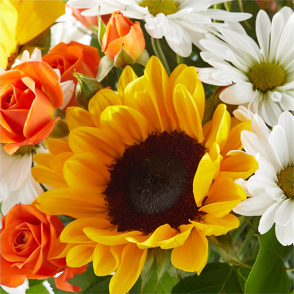 Sun-drenched Blooms Bouquet –  Greenbrook Flowers Inc, Jackson MS