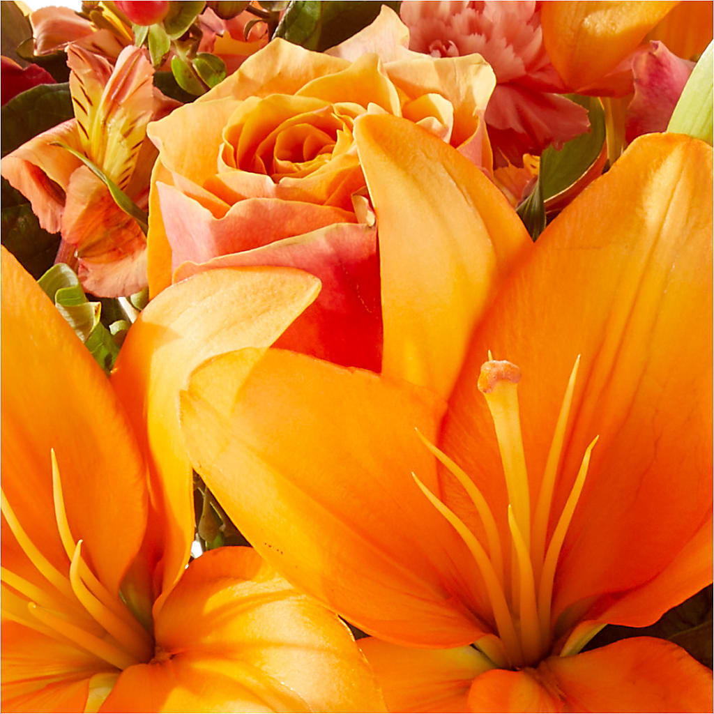 Afternoon Light Bouquet –  Greenbrook Flowers Inc, Jackson MS