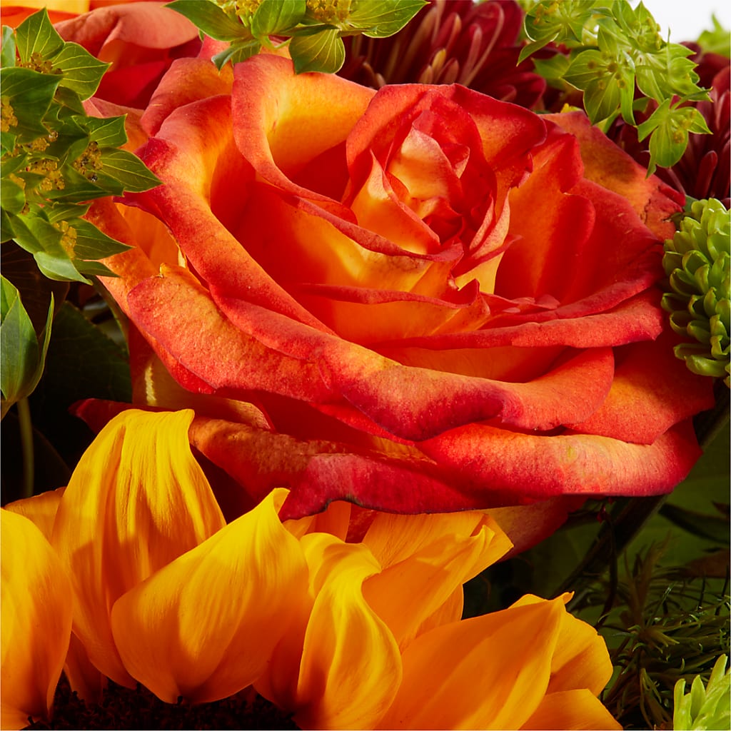 Harvest Festival Bouquet –  Greenbrook Flowers Inc, Jackson MS