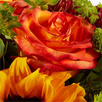 Harvest Festival Bouquet –  Greenbrook Flowers Inc, Jackson MS