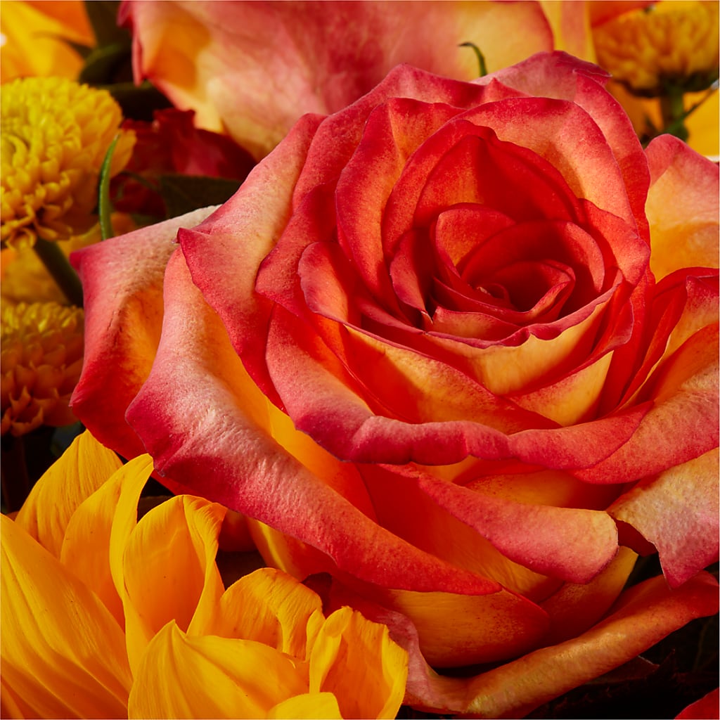 Picnic in the Park Bouquet –  Greenbrook Flowers Inc, Jackson MS